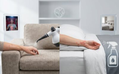 Blog Bedwantsen 5 Snelle bedwantsenbeten op een sofa: deadlines en oplossingen