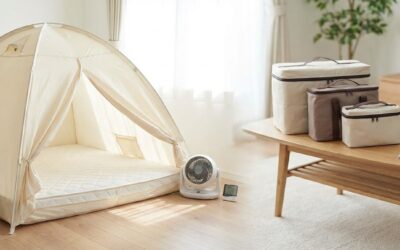 Blog Punaise de lit 3 Traitement par tente chauffante : la solution ultime contre les punaises ?